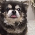 【とにもかくにもい…