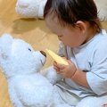 赤ちゃんと大型犬の…