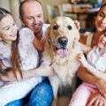 英国での調査から、…