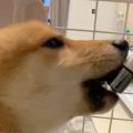 水を飲みすぎている…