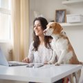 あなたの愛犬もして…