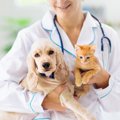 「ペットの健康管理…