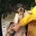 ハリケーンで洪水が…