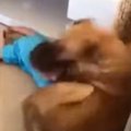 ショッキング動画！…