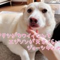 「かわい」称賛の嵐♡…