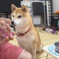 遊びもそっちのけ！…