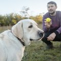 愛犬と遊びすぎると…