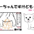 ちーちゃんですけど…