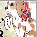 それでも君が好き　…