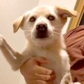施設から引き取った…