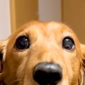 『なんか悪いことし…