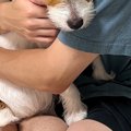 お父さんの腕の中で…