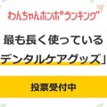 【投票受付中】愛犬…