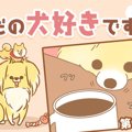 ただの犬好きです。…