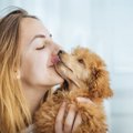 飼い主は匂いで愛犬…