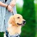 犬が外でキョロキョ…