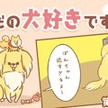 ただの犬好きです。…