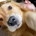 ママに撫でられて嬉…
