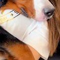 体調不良で寝込んで…