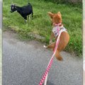 【爆笑】「うわぁぁ…