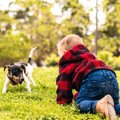 犬が『拒否』してい…