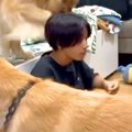数ヶ月ぶりに『大好…