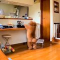 母が『折りたたみ傘…