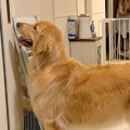 久しぶりに友人がお…
