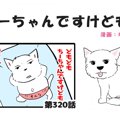 ちーちゃんですけど…