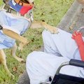 入院中の車椅子おじ…
