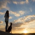 犬はなぜ死に際に飼…