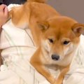 帰省中の息子が帰る…