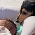 1ヶ月前にお家にやっ…