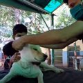 頭にひどい負傷。ひ…