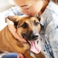 犬が『久しぶりに会…