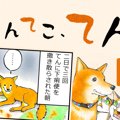 てんてこ、てん。【…