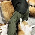 床で寝転がっていた…