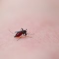 絶対に忘れないで！…