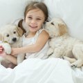 犬が飼い主に『カワ…