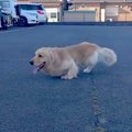 両足に障がいを持ち…