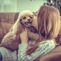 犬が寄りかかってく…