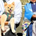 3歳の男の子が『犬と…