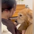 大好きなお姉ちゃん…