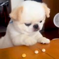 テーブルにあるボー…
