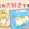 ただの犬好きです。…