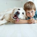 犬に愛されている人…