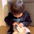 大型犬の子犬が男の…