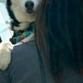 1年ぶりに『苦手な階…