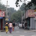 中国の狂犬病対策？…