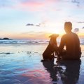 犬が飼い主にアピー…